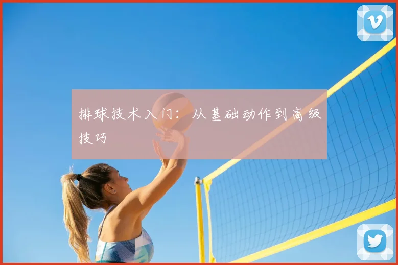 排球技术入门：从基础动作到高级技巧