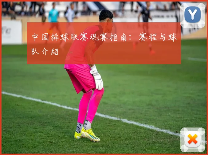 中国排球联赛观赛指南：赛程与球队介绍