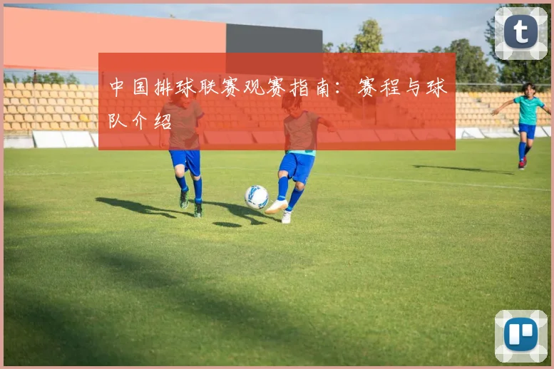 中国排球联赛观赛指南：赛程与球队介绍