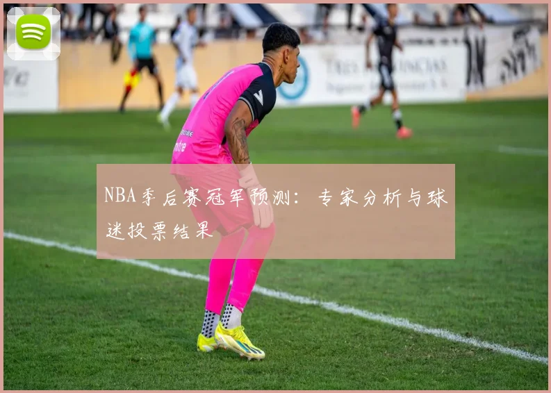 NBA季后赛冠军预测：专家分析与球迷投票结果