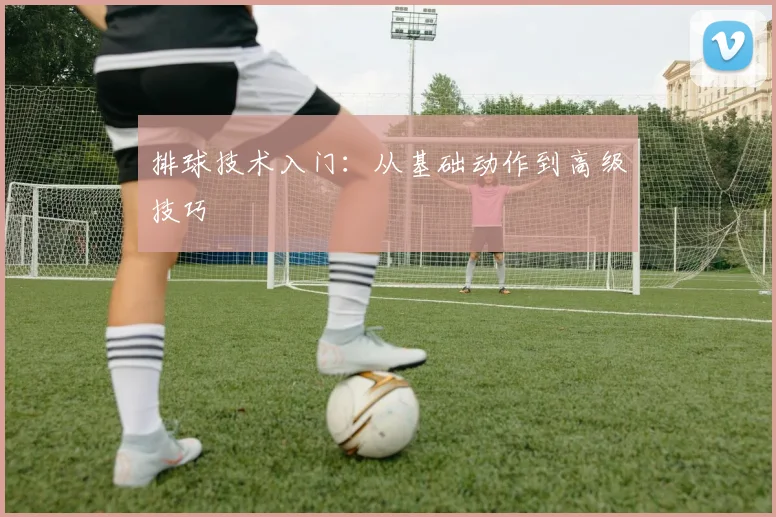 排球技术入门：从基础动作到高级技巧
